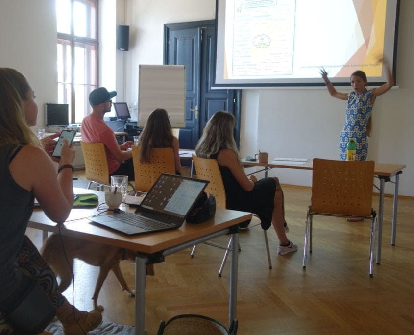 Beziehung & Erziehung - Hundetrainer Ausbildung