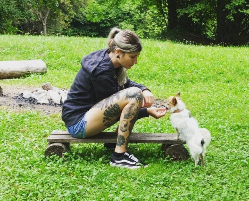 Deine Entwicklung zur souveränen Trainerpersönlichkeit - Hundetrainer Ausbildung